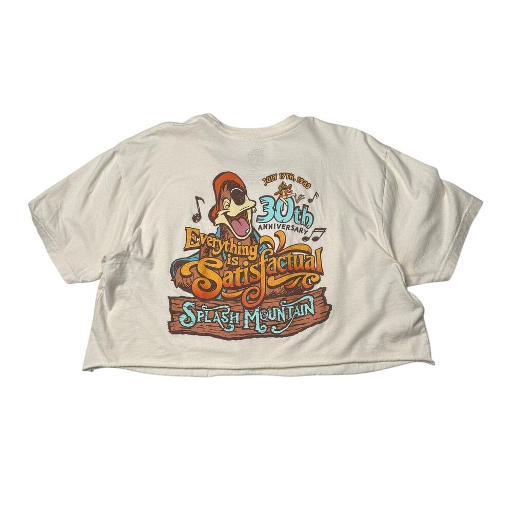 Disney Splash Mountain D23 Crop 2019 Tee Large RARE